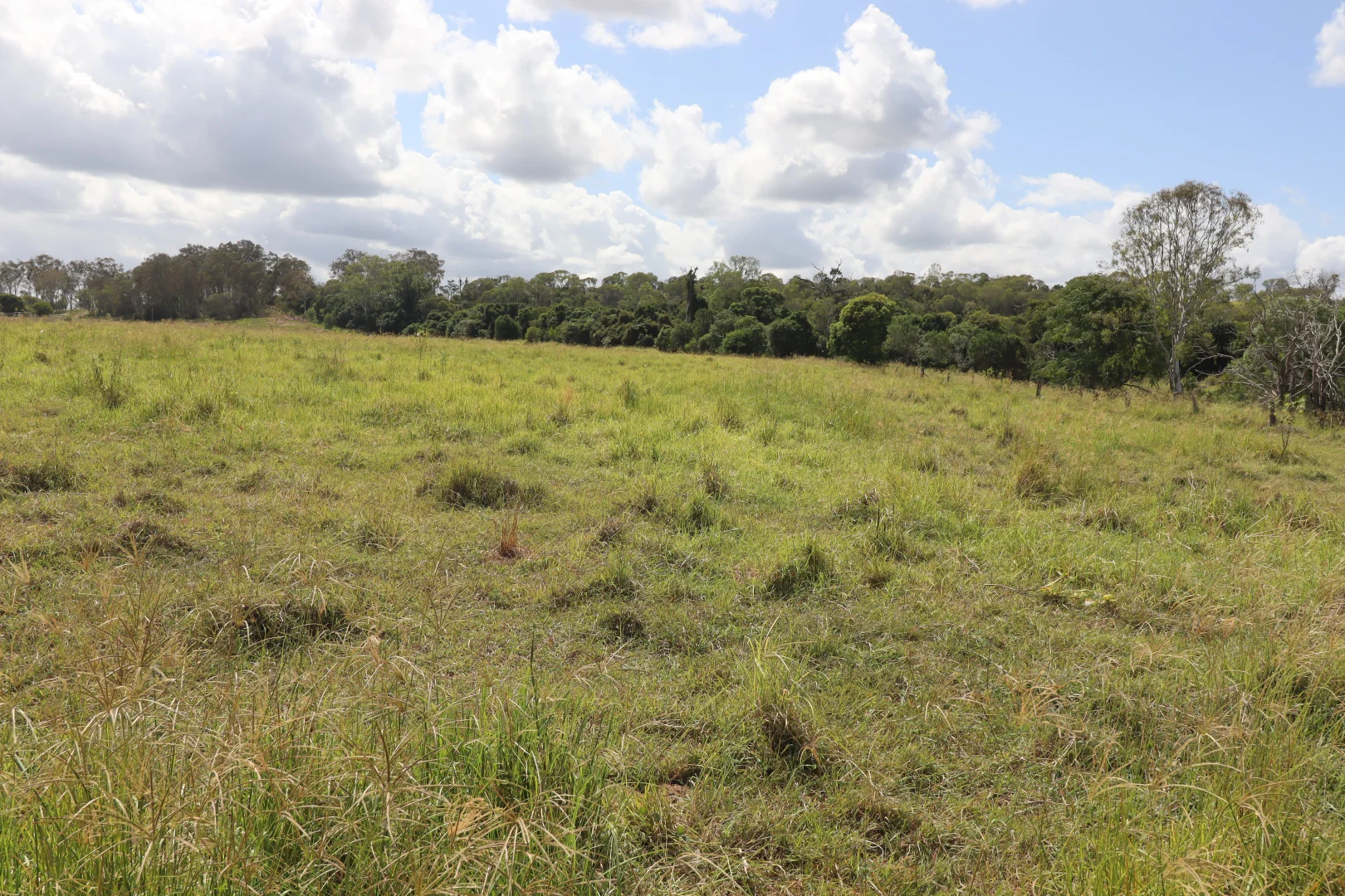 Additional image 35 of 122 Longs Road, Bucca QLD 4670