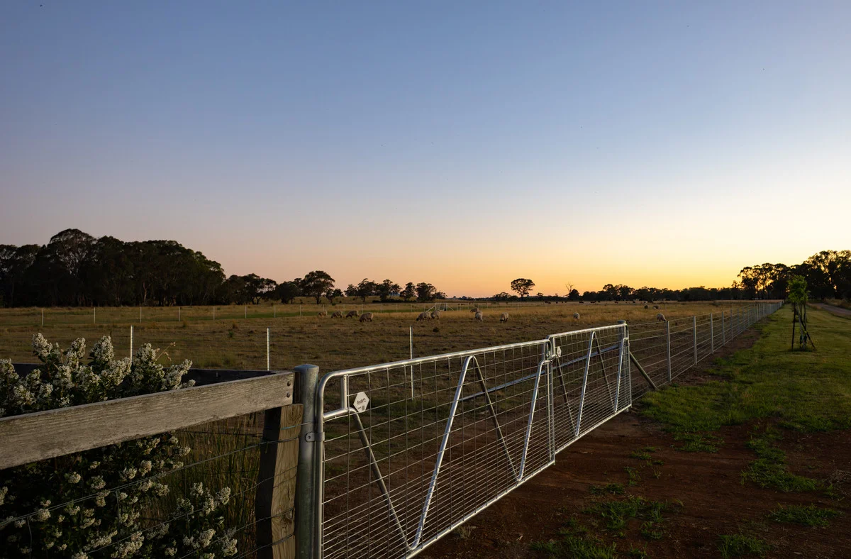 Additional image 25 of 44 Convent Lane, Forest Reefs NSW 2798