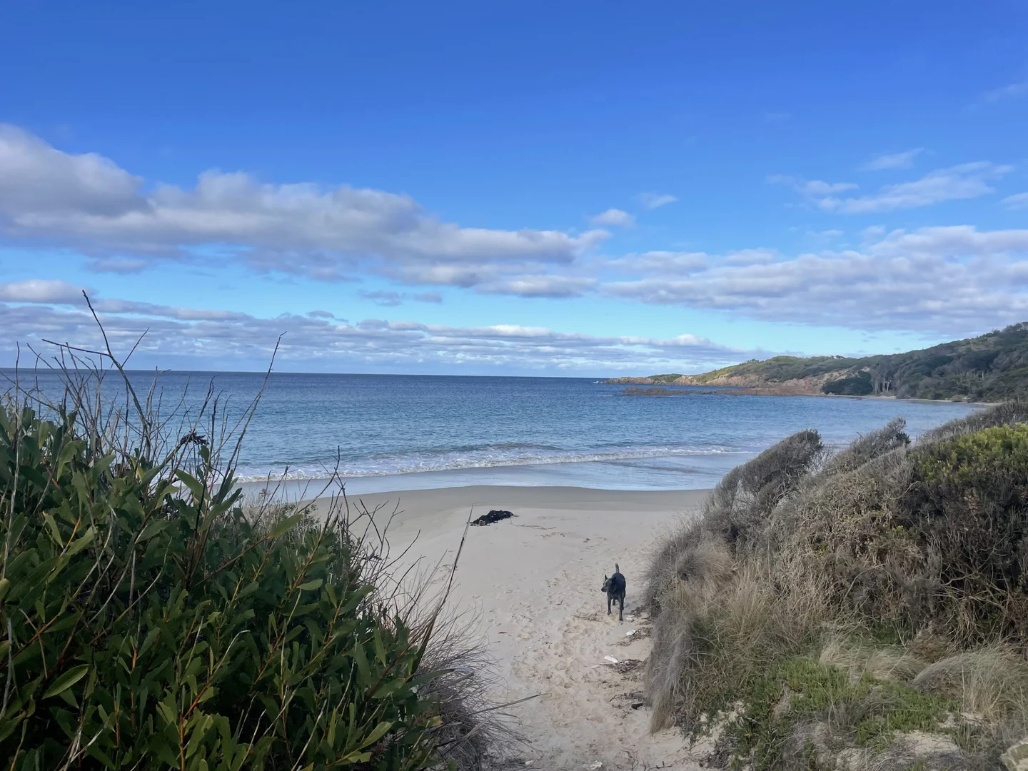 Additional image 8 of 22 Waratah Street, Grassy TAS 7256