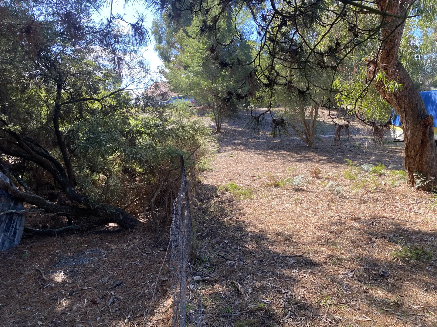 Additional image 10 of 10 Bernadette Avenue, Loch Sport VIC 3851