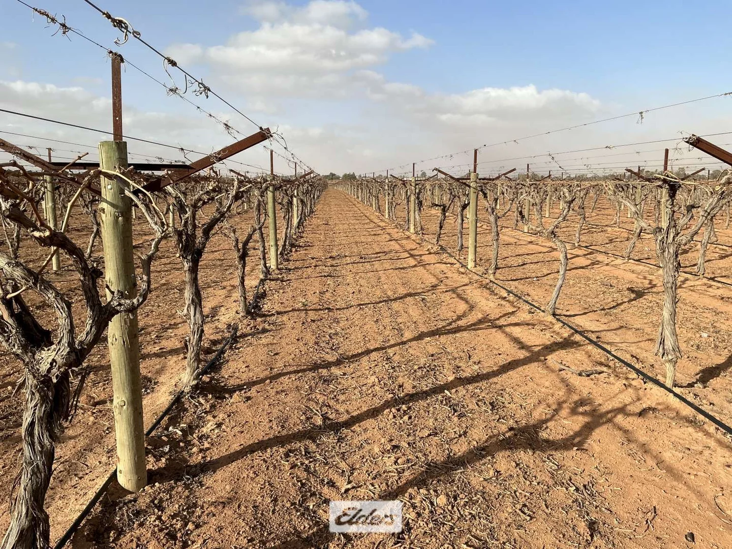 Additional image 3 of 221 & 245 Cowanna Avenue, Merbein South VIC 3505