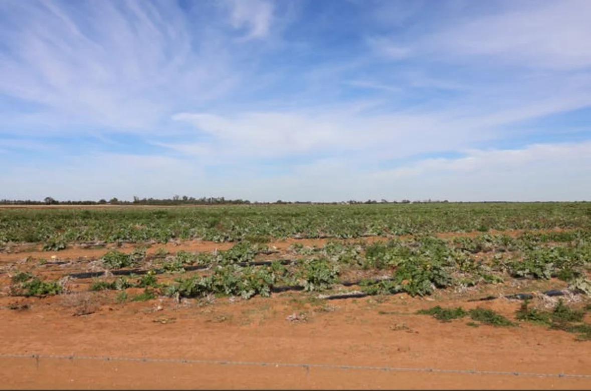 Additional image 4 of Woorinen North VIC 3589