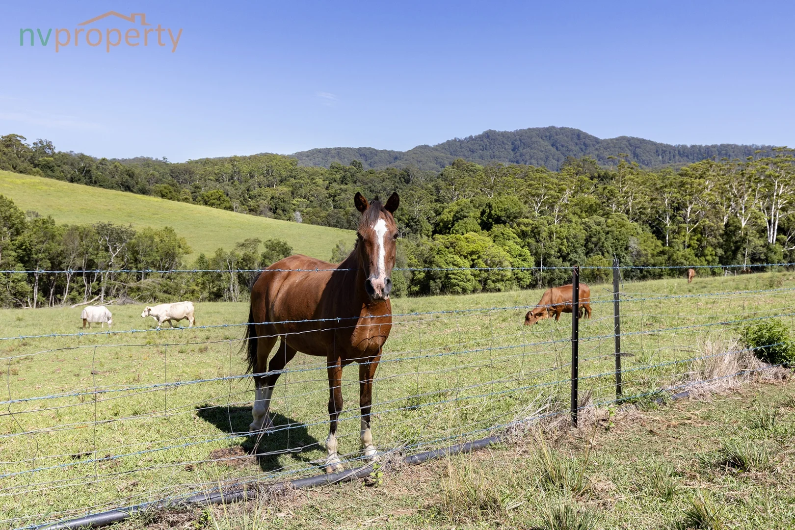 Additional image 8 of 657 Newee Creek Road, Newee Creek NSW 2447