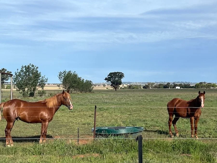 Additional image 35 of 268 ANDREWS ROAD, Brookdale NSW 2656