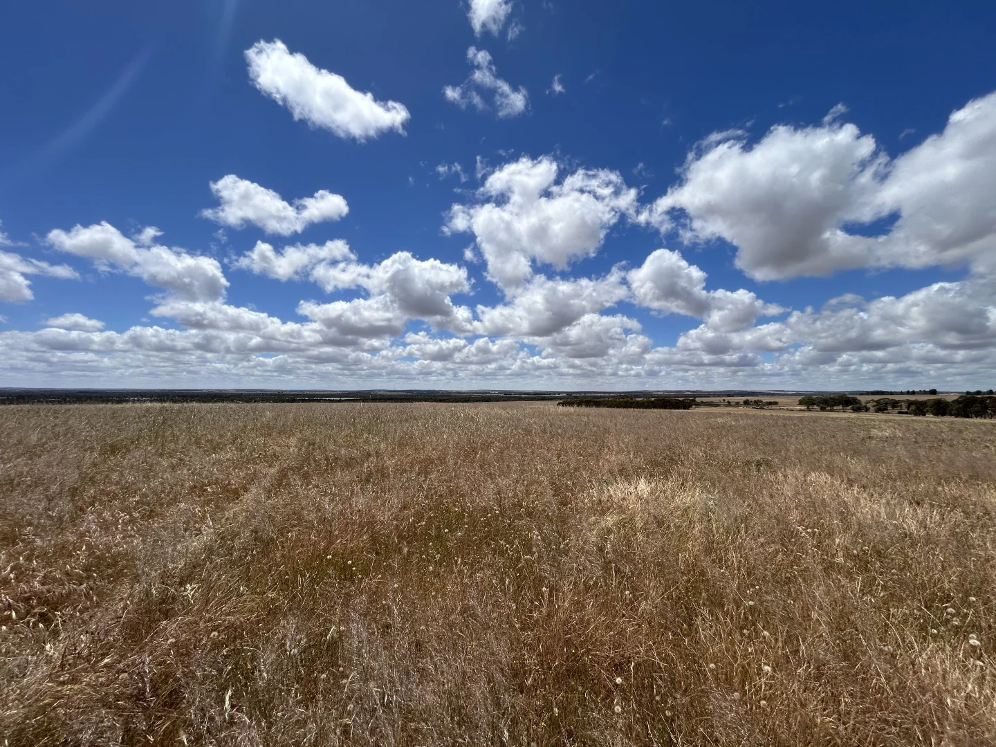 Additional image 24 of 905 Coomberdale Road West, Coomberdale WA 6512