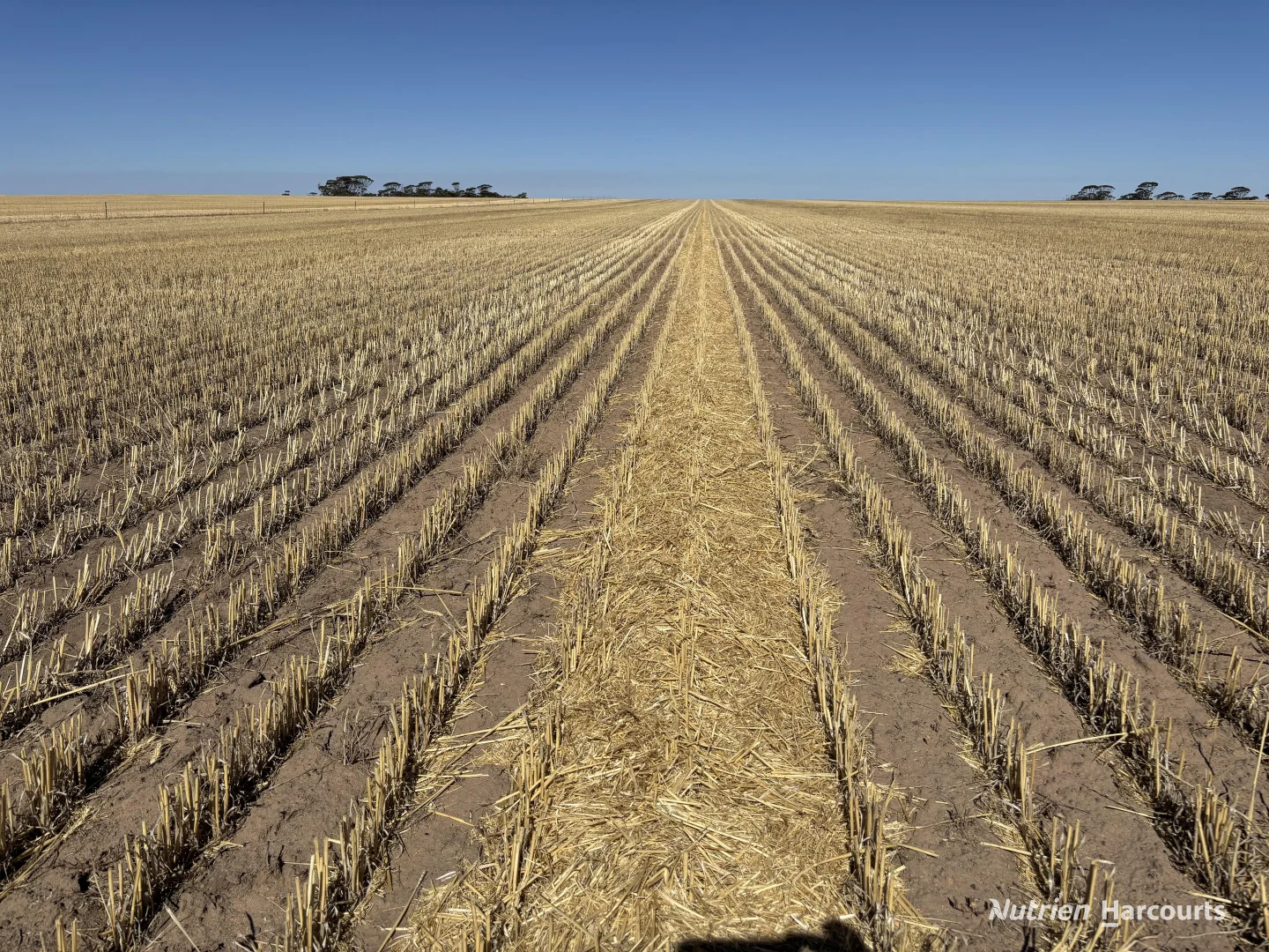 Additional image 2 of . 'Scotts', Yelbeni WA 6487