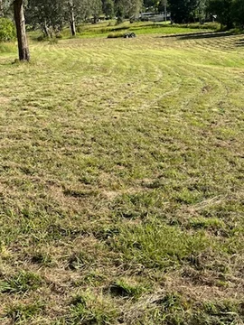 Additional image 14 of 26 Bonalbo Street, Woodenbong NSW 2476