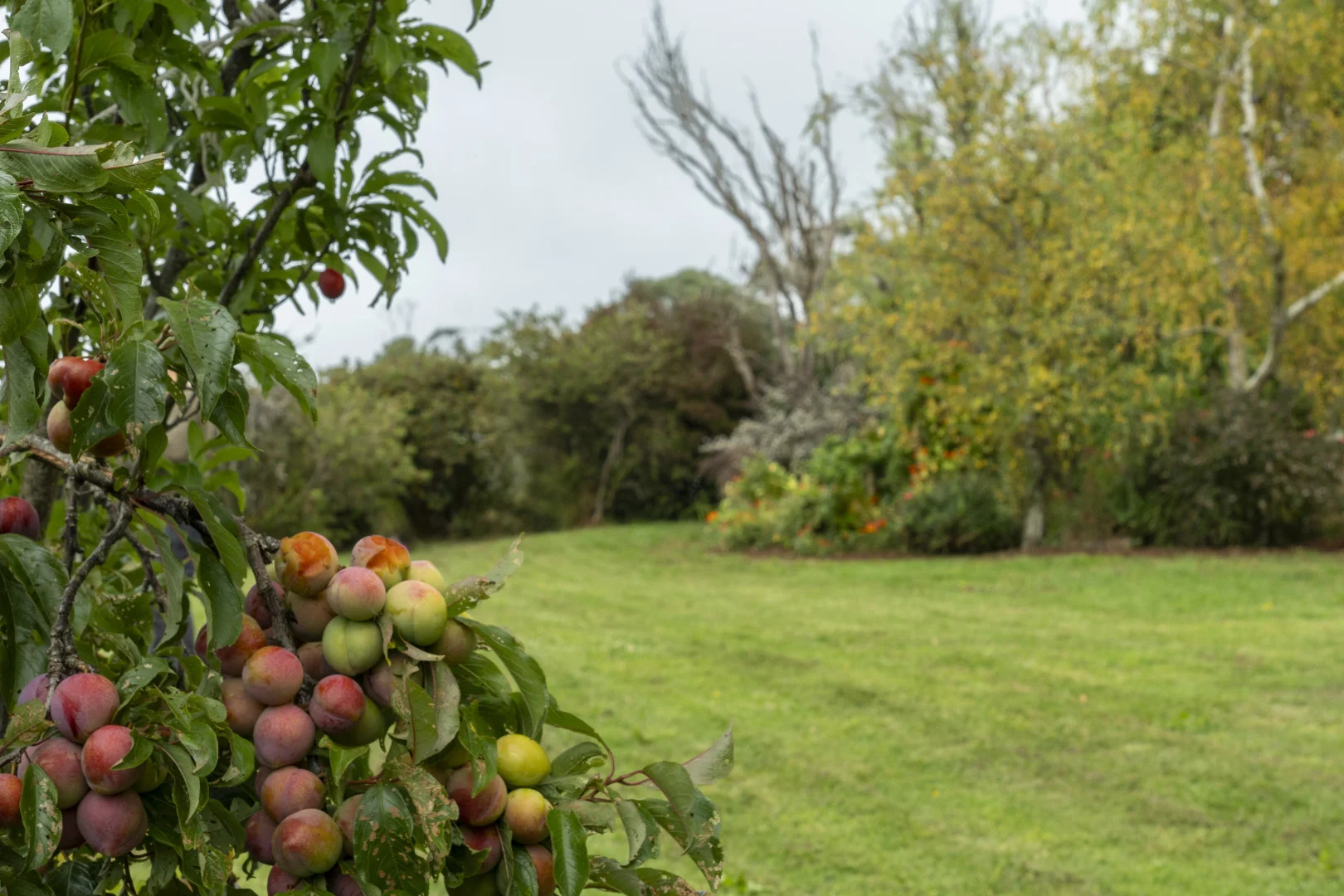 Additional image 40 of 230 Turpins Road, Madalya VIC 3971