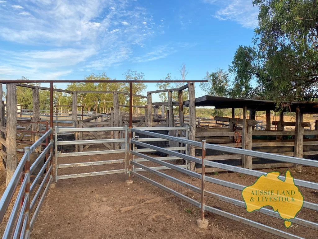 Additional image 57 of 2360 MONTO MOUNT PERRY ROAD, Yarrol QLD 4630