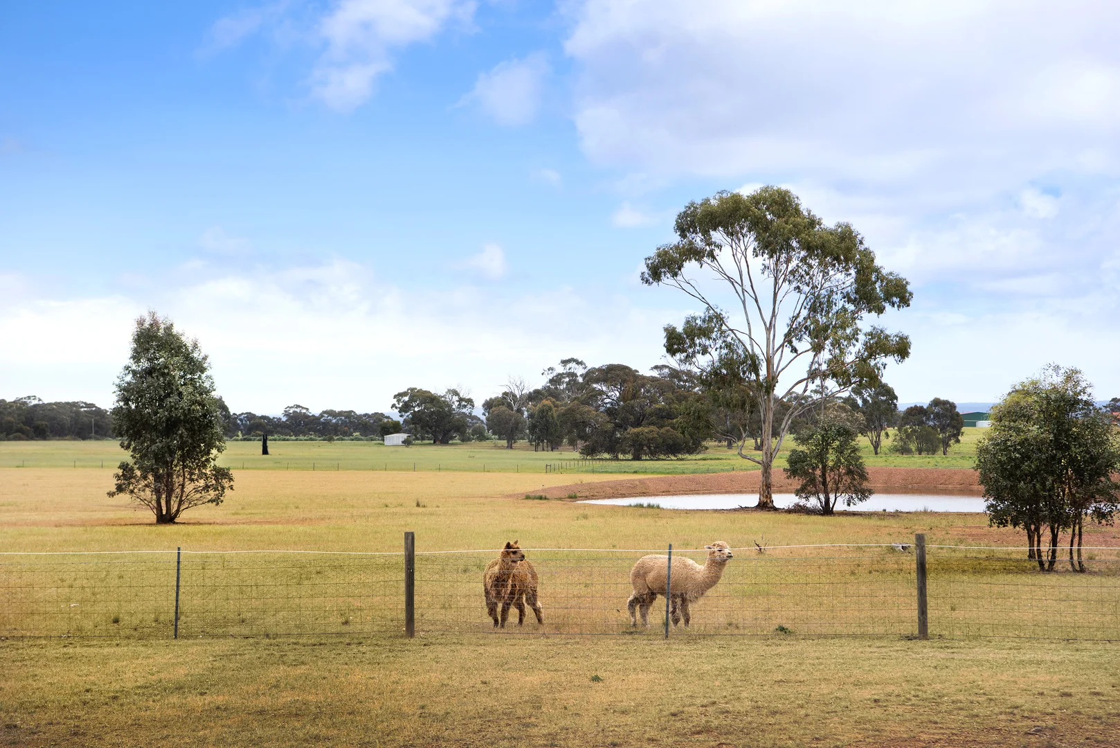 Additional image 22 of 234 Nixons Road, Shelbourne VIC 3515