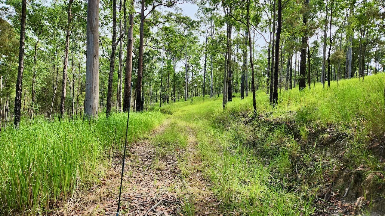Additional image 11 of Lot 61/485/484/483/7 Bellthorpe Road, Sandy Creek QLD 4515