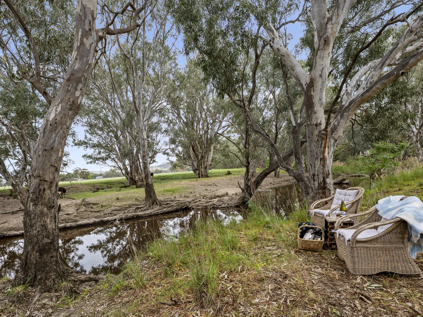 Additional image 18 of 76 Moglonemby Road, Euroa VIC 3666