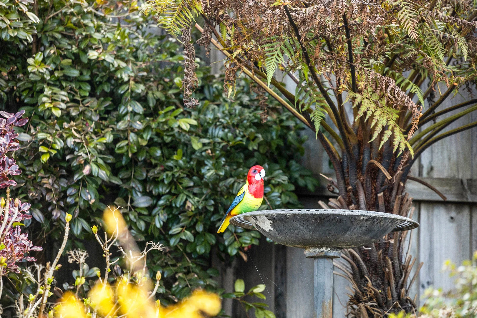 Additional image 11 of 10 Tomley Street, Moss Vale NSW 2577
