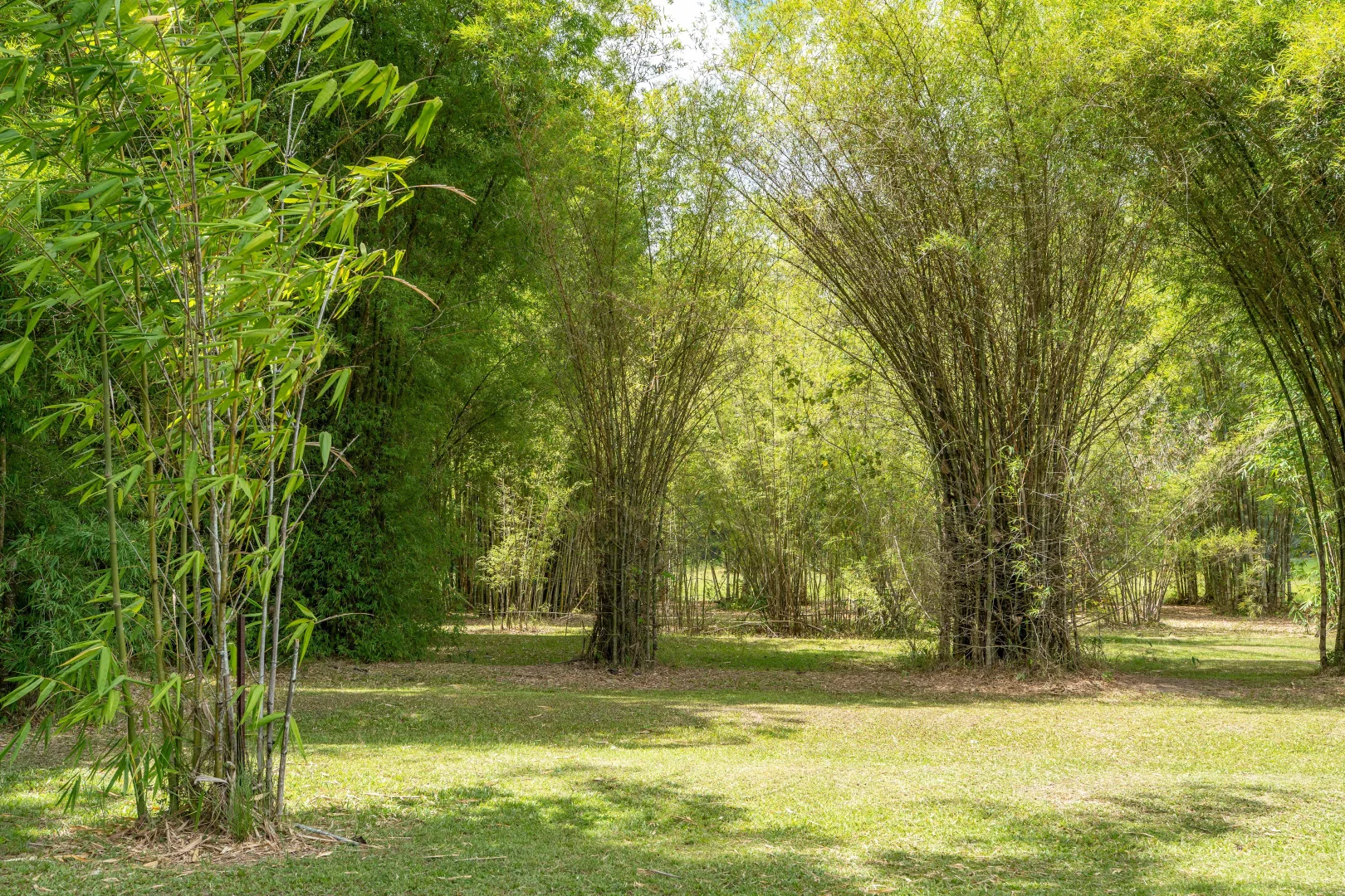 Additional image 29 of 39 O'Hanlon Rd, Feluga QLD 4854