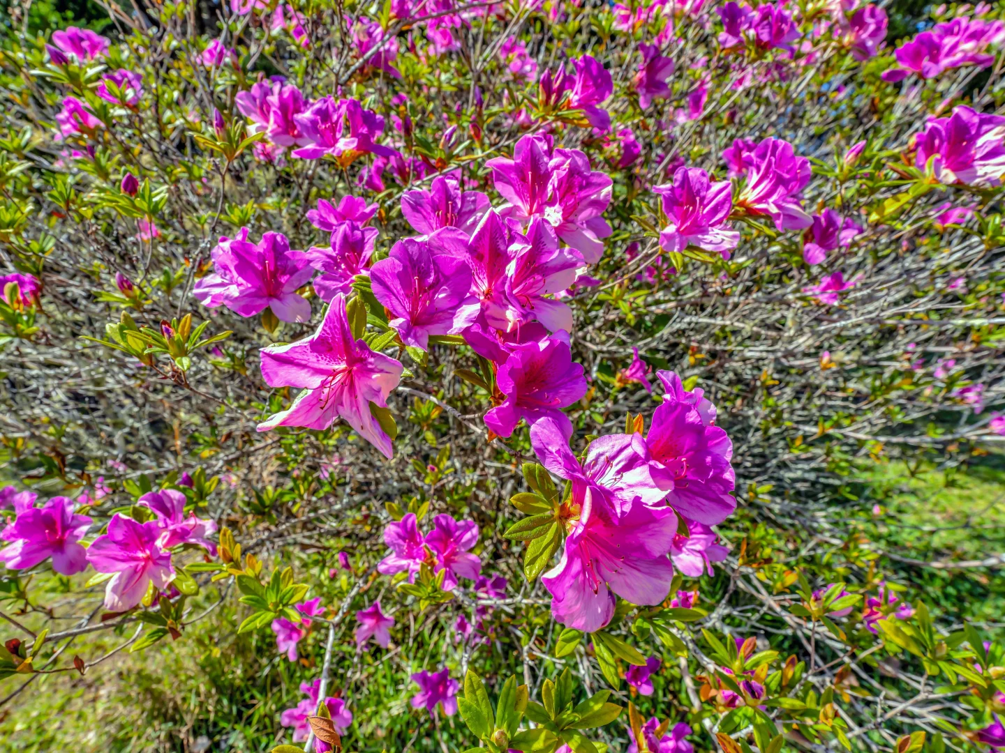 Additional image 26 of 923 Orara Way, Nana Glen NSW 2450