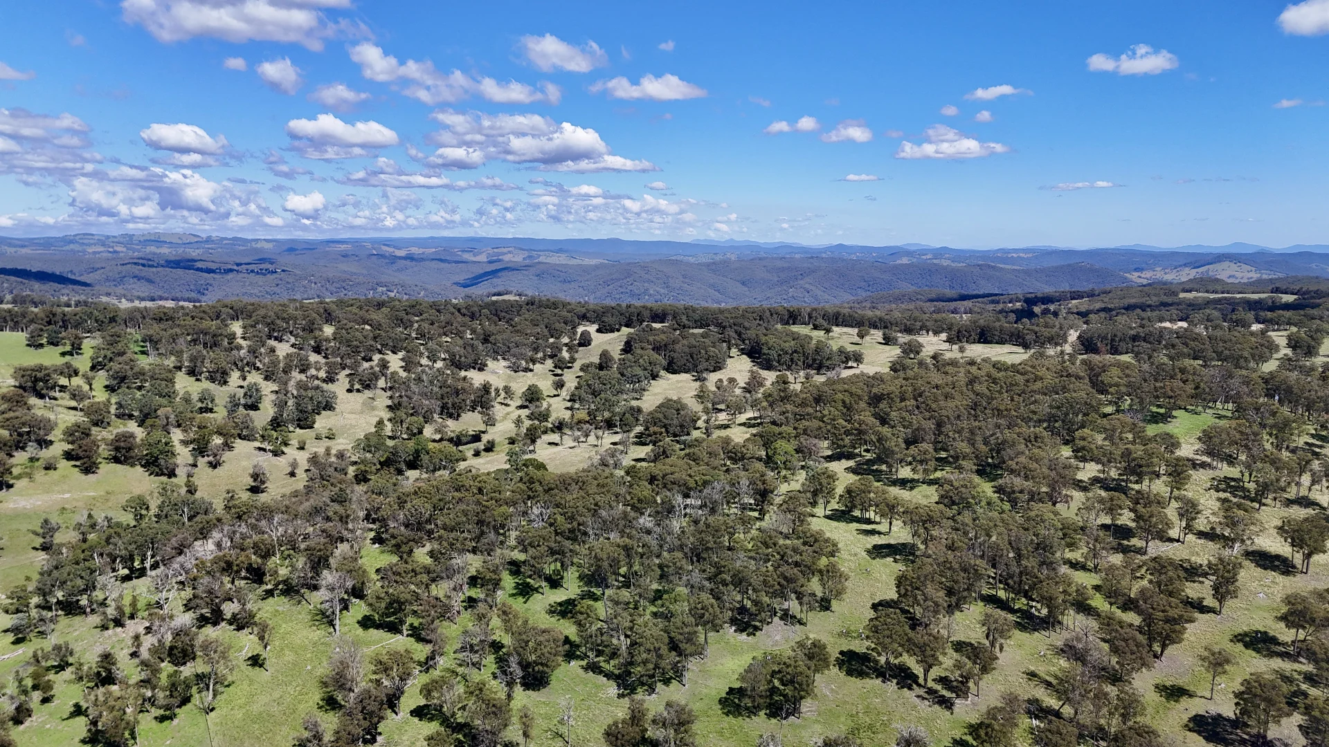 Additional image 3 of 3256 Niangala Rd, Walcha NSW 2354
