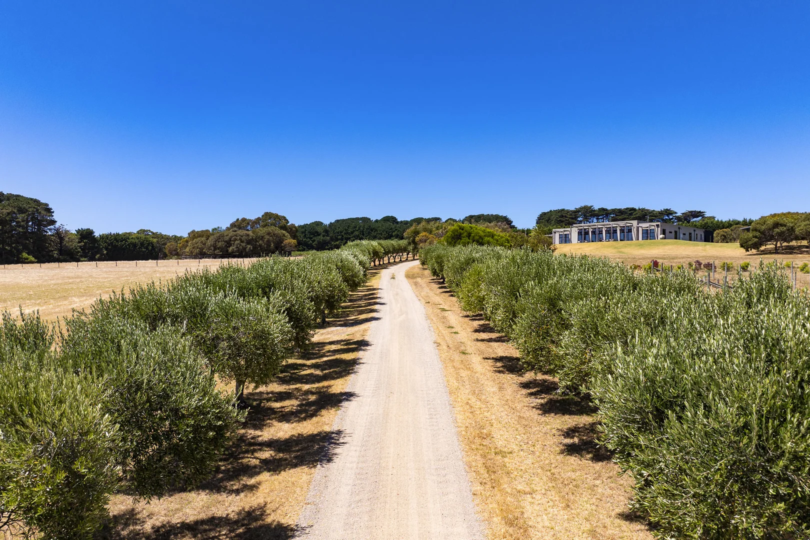 Additional image 5 of 515 Grasslands Road, Boneo VIC 3939