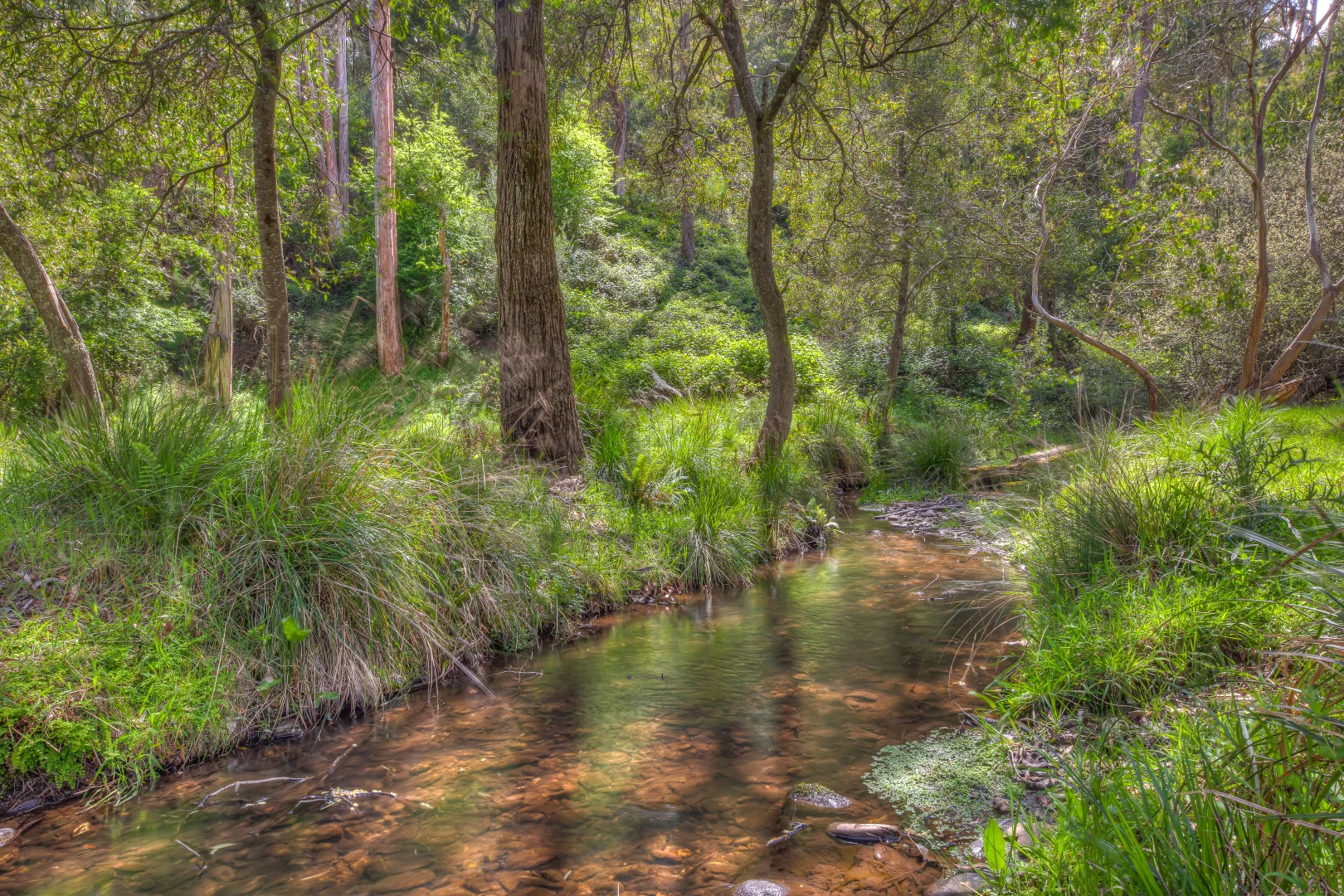 Additional image 29 of 227 Mount Porepunkah Road, Bright VIC 3741
