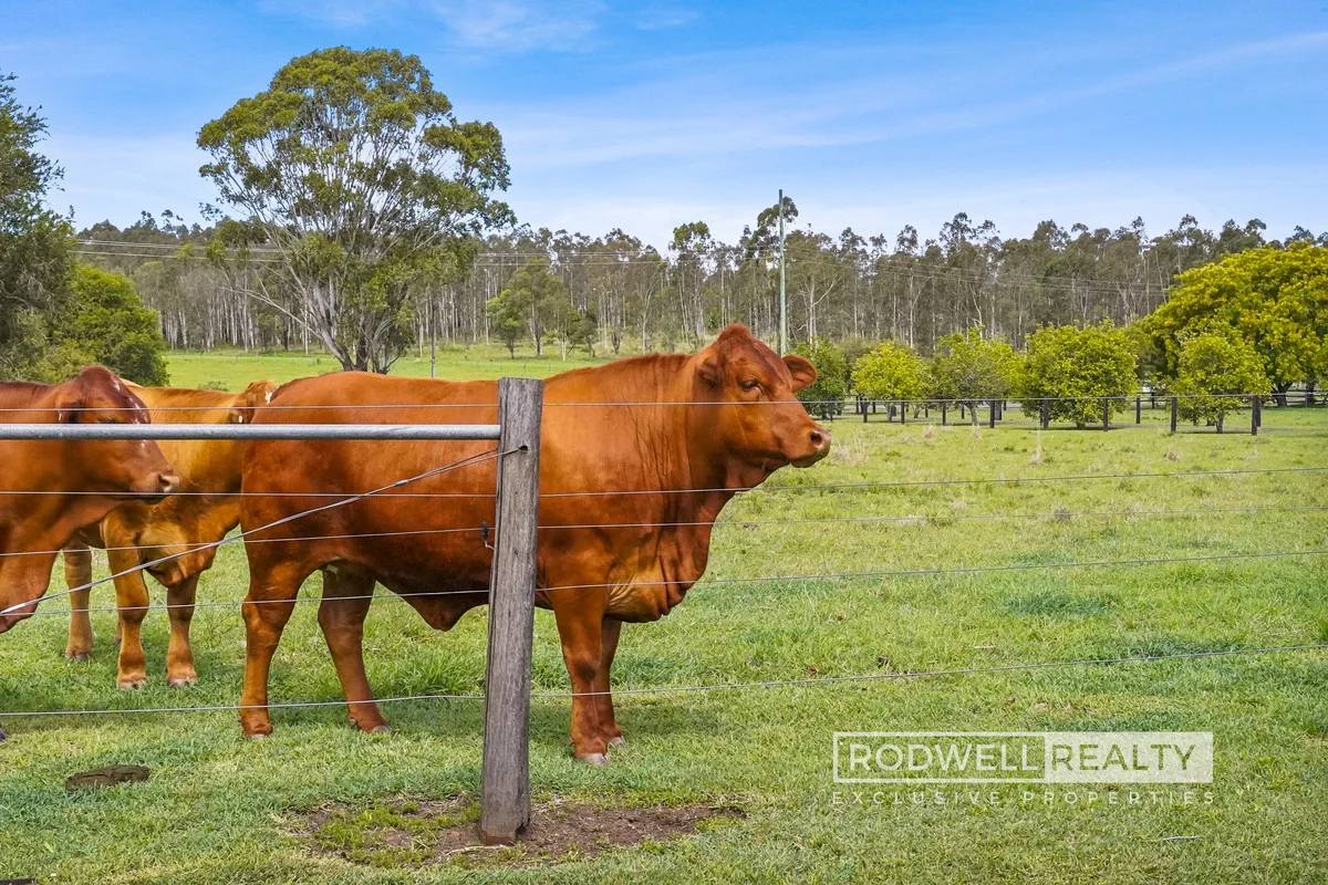 Additional image 18 of 8584 Mount Lindesay Highway, Laravale QLD 4285