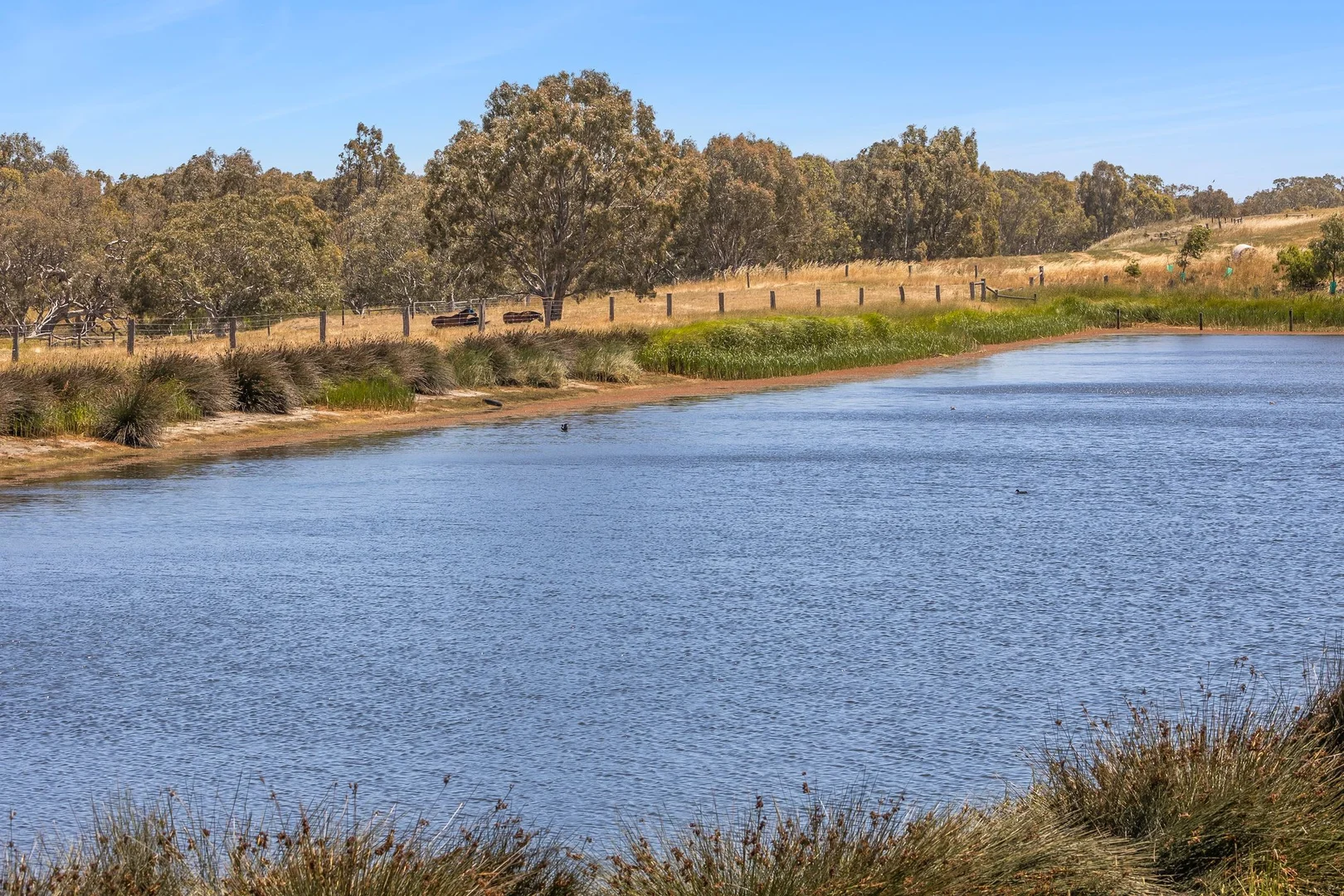 Additional image 16 of 1145 Inverleigh-Winchelsea Road, Inverleigh VIC 3321