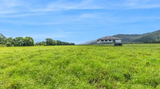 Additional image 5 of 21 Barbagallo Road, Aloomba QLD 4871