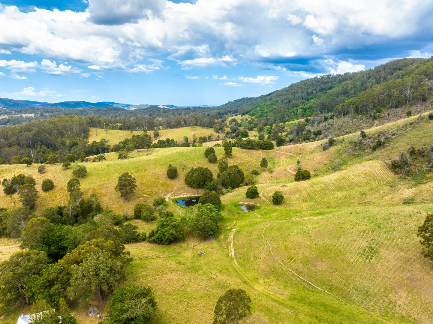 Additional image 32 of 129 Days Road, Belbora NSW 2422