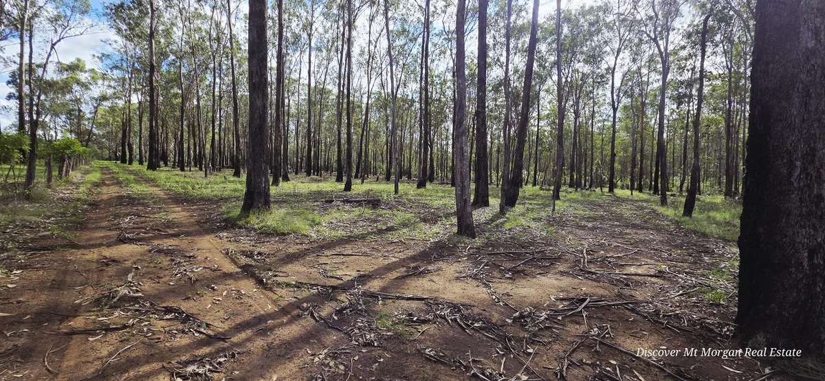 Additional image 13 of 227a Archer Road, Struck Oil QLD 4714