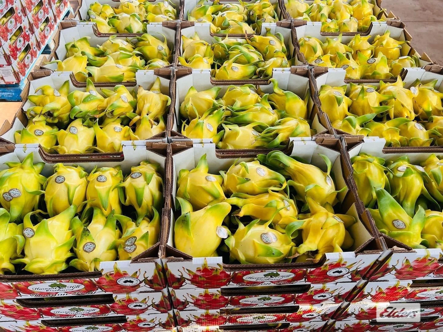 Additional image 27 of 125 Buckley Road, Lambells Lagoon NT 0822