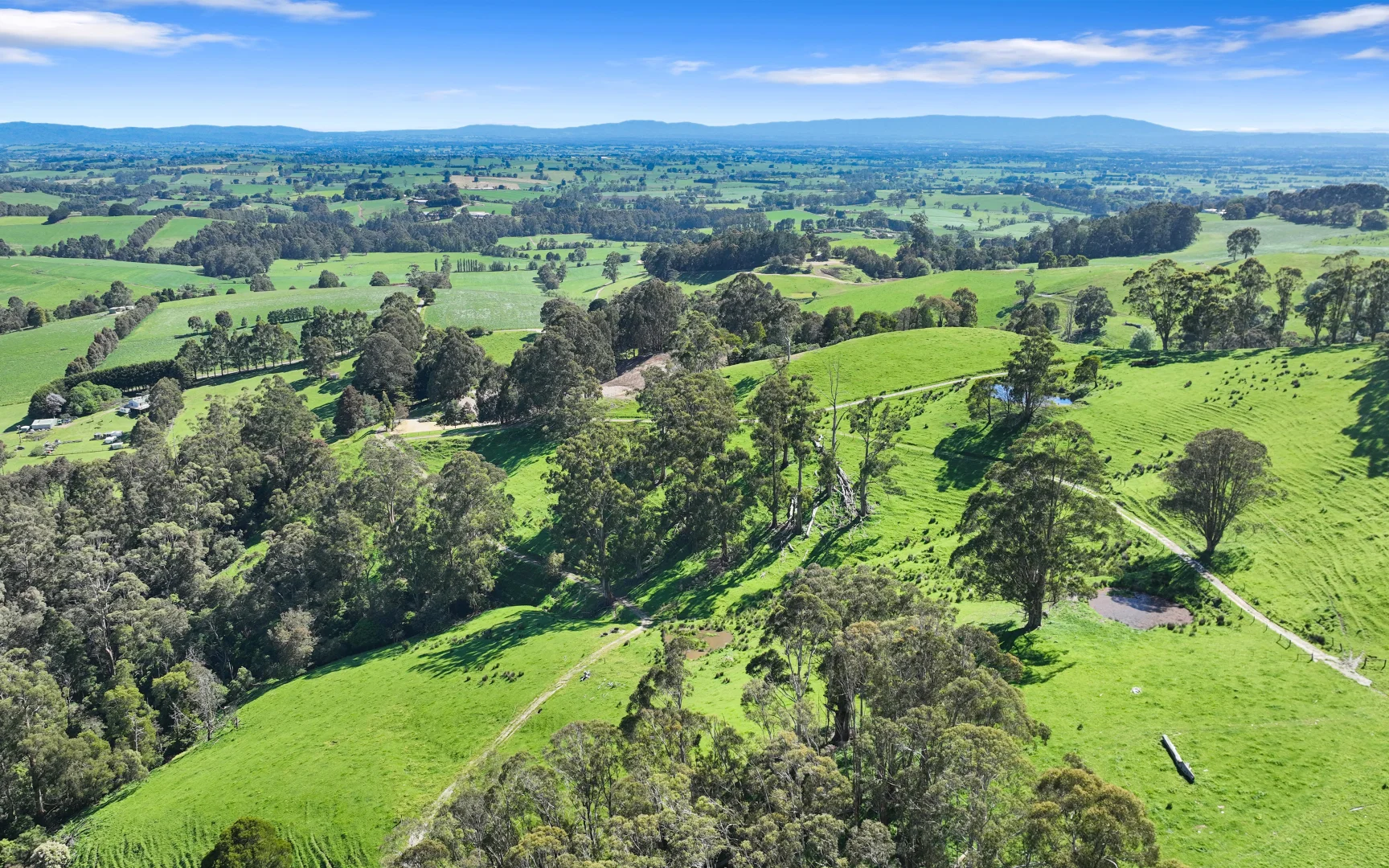 Additional image 13 of 196 Peters Road, Ellinbank VIC 3821