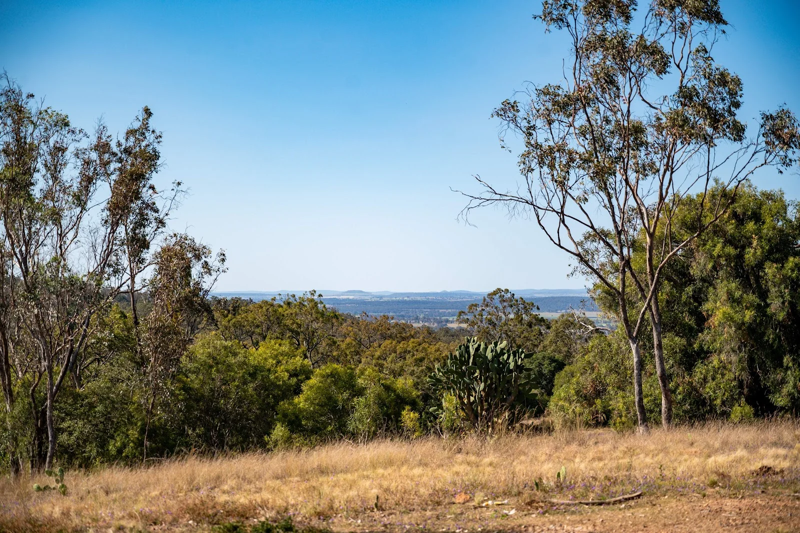 Additional image 4 of Lot 8 & 43 Edens Chase, Rosenthal Heights QLD 4370