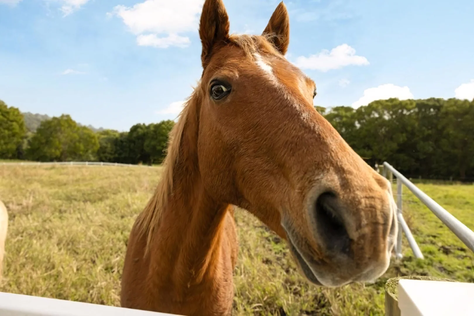 Additional image 33 of 53 Yvonne Street, Highworth QLD 4560