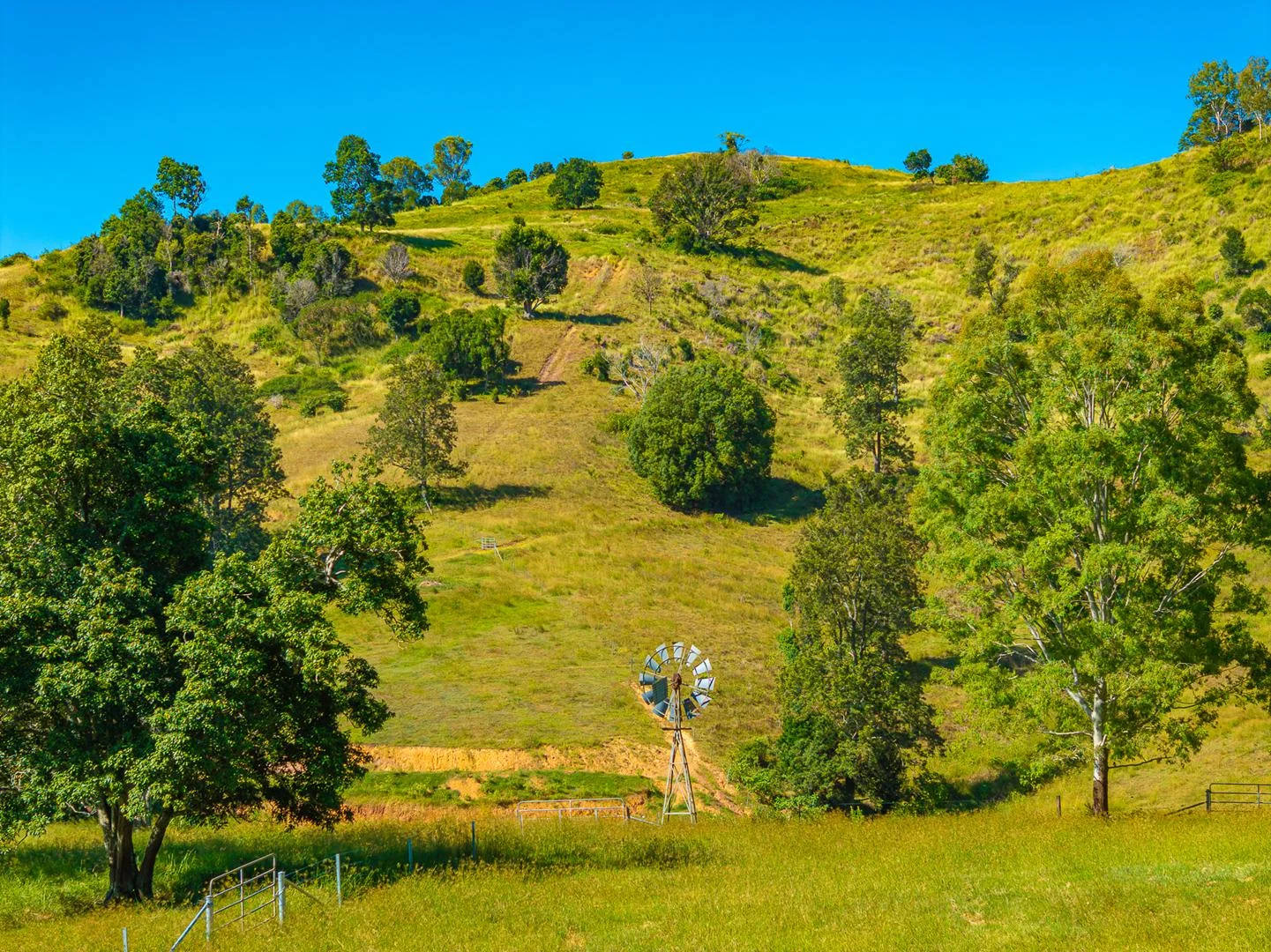 Additional image 23 of 343 Walli Mountain Road, Kenilworth QLD 4574