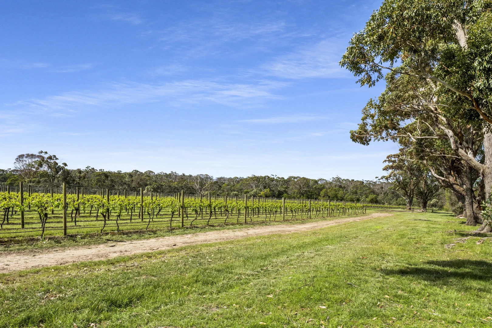 Additional image 4 of 8 Bittern-Dromana Road, Bittern VIC 3918