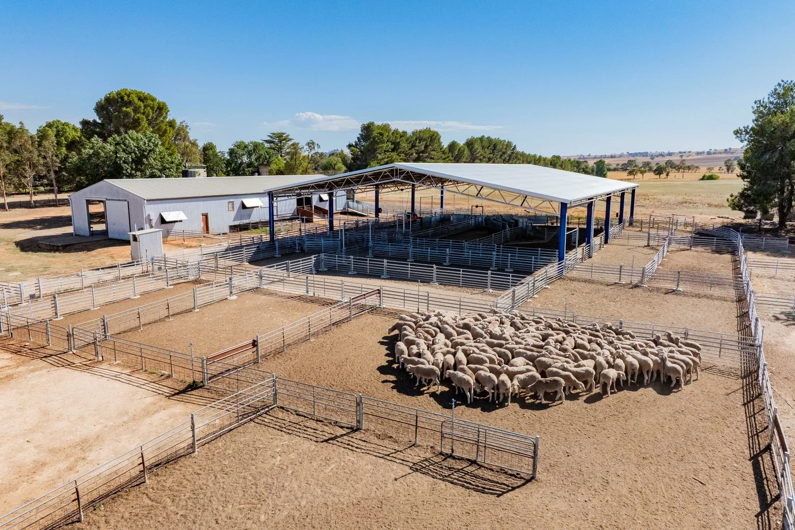 Additional image 4 of 1679 Stockinbingal Road, Cootamundra NSW 2590