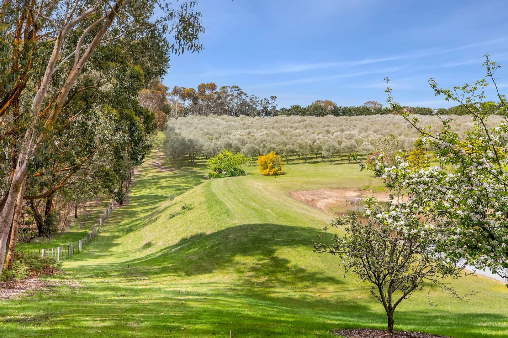 Additional image 25 of 405 Brickmakers Road, Bambra VIC 3241