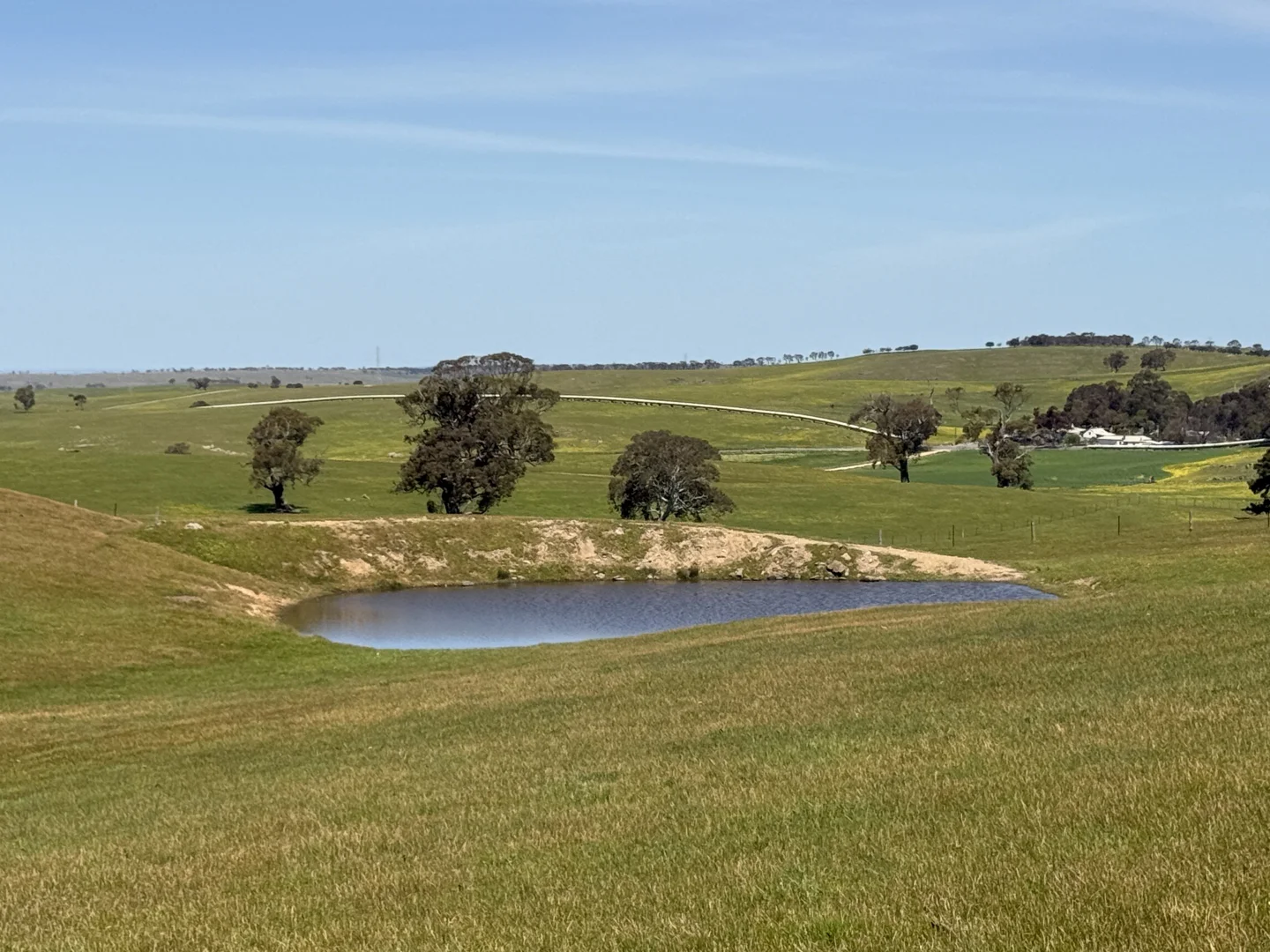 Additional image 2 of Lot 115 Mcgormans Road, Tungkillo SA 5236