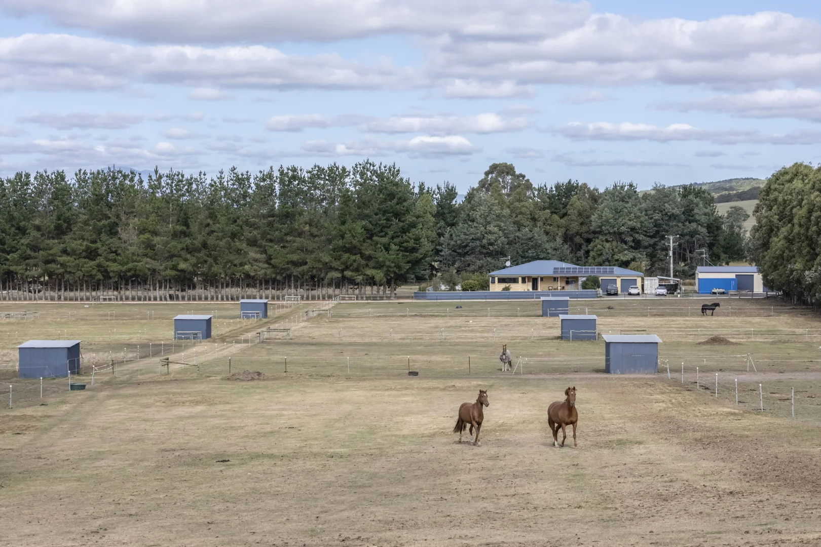 Additional image 2 of 5456 Bridport Road, Pipers River TAS 7252