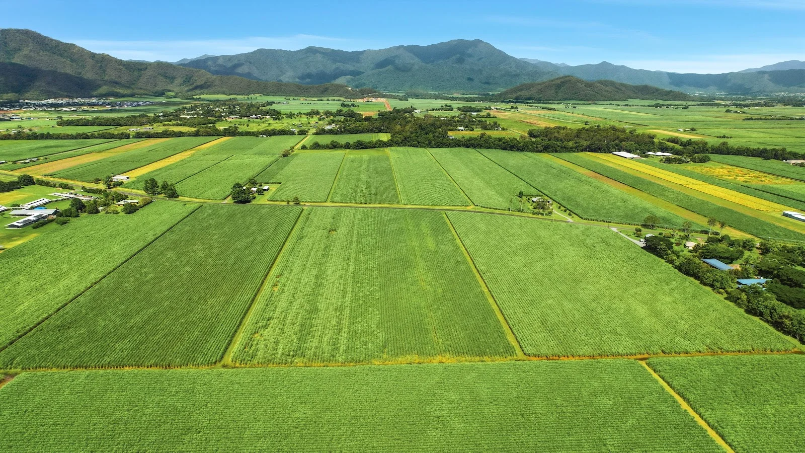 Additional image 10 of Lot 44 Crossland Road, Gordonvale QLD 4865