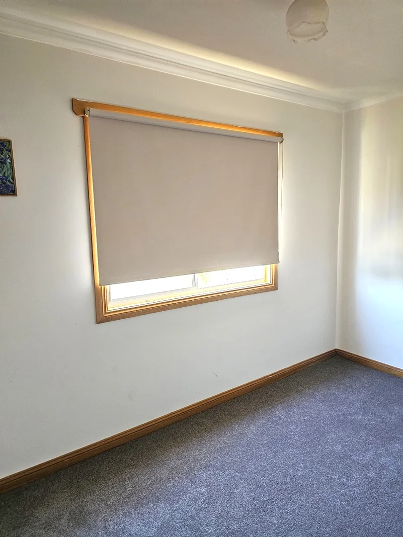 Additional image 19 of 145 Woods Street, Donald VIC 3480