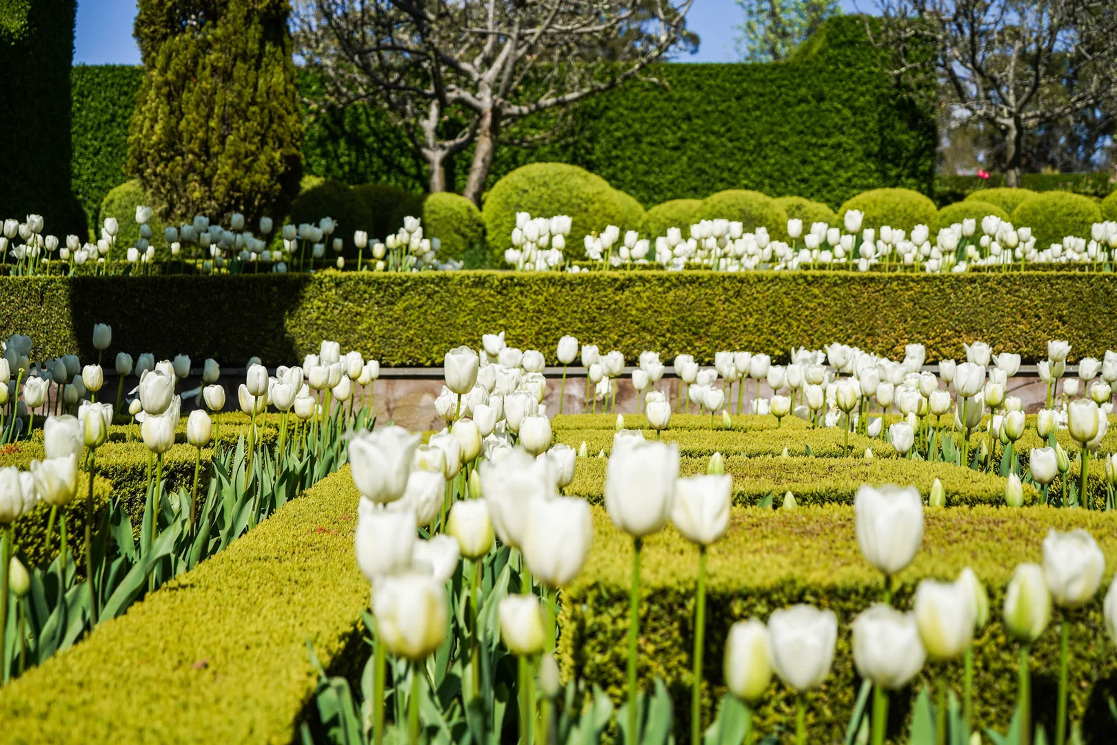 Additional image 26 of 20 Belty Drive, Denver VIC 3461