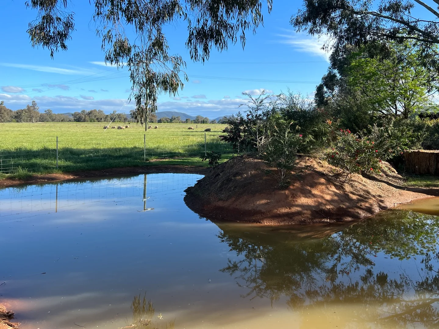 Additional image 14 of Gooloogong NSW 2805