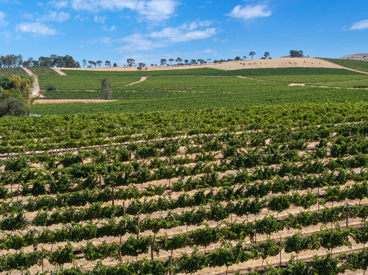 Additional image 26 of Lot 20 Spring Farm Road, Spring Farm SA 5453