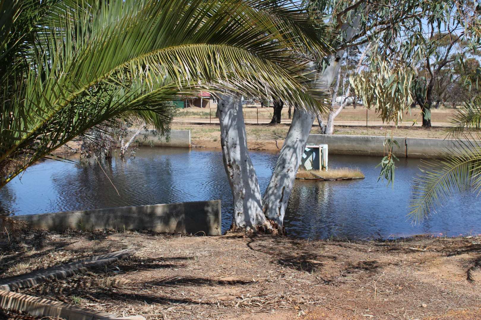 Additional image 5 of 25 Farrall St, Bruce Rock WA 6418