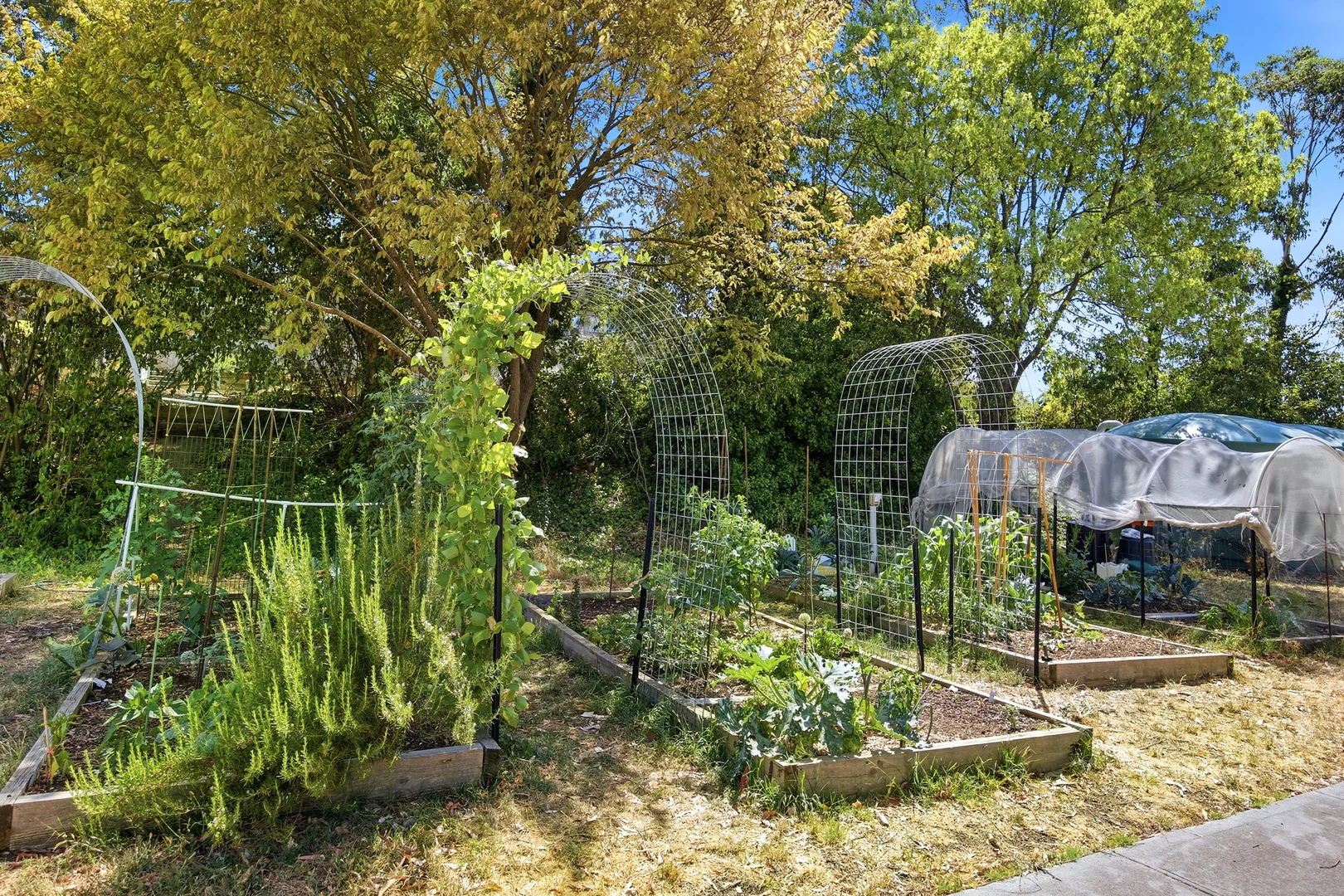 Additional image 15 of 33 White Close, Lilydale VIC 3140