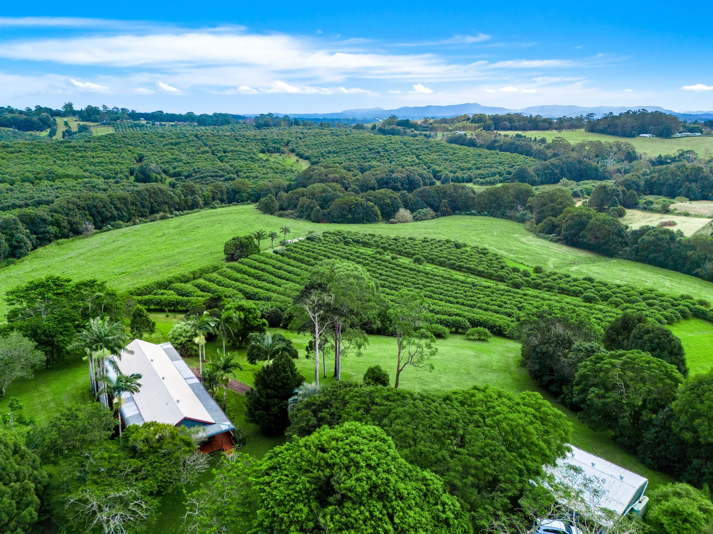 Additional image 38 of 617 Hinterland Way, Newrybar NSW 2479