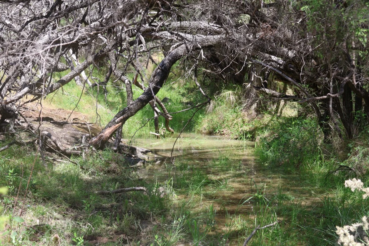 Additional image 8 of 957 Killarney Gap Road, Bingara NSW 2404