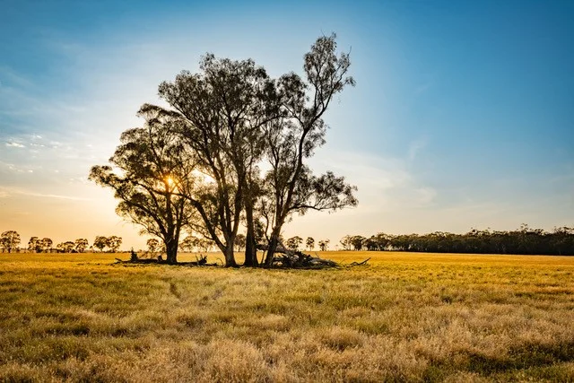 Additional image 7 of CA59D&59C Plain Road, Heathcote VIC 3523