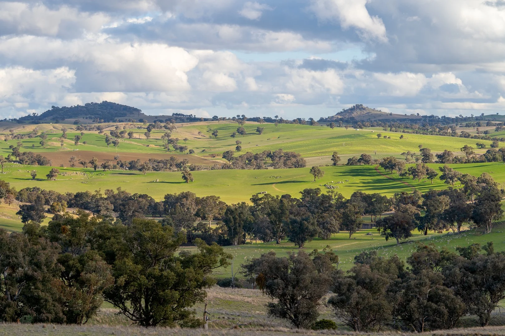 Additional image 11 of 1507 Pine Mount Road, Woodstock NSW 2793