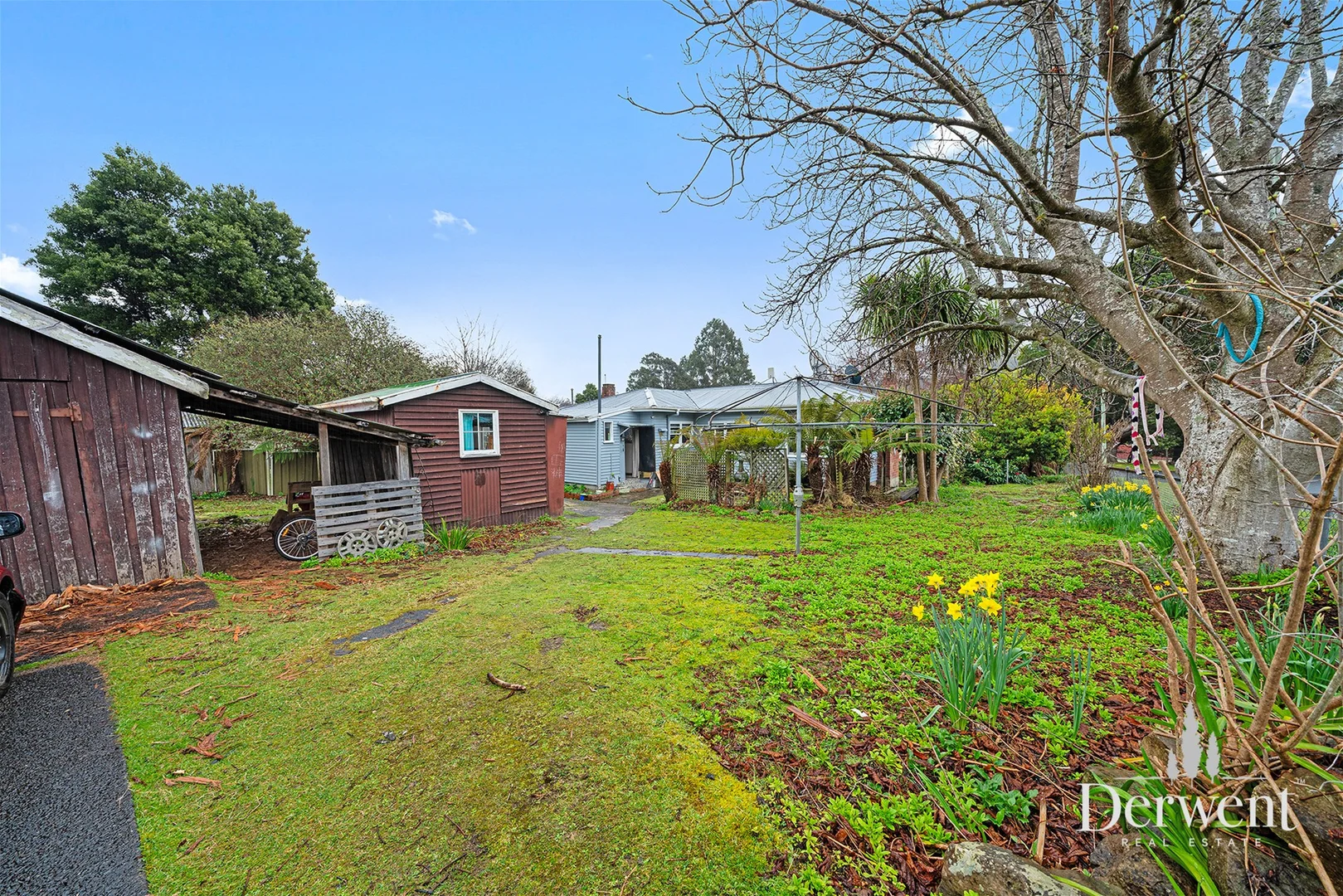 Additional image 24 of 8 Mayne Street, Maydena TAS 7140