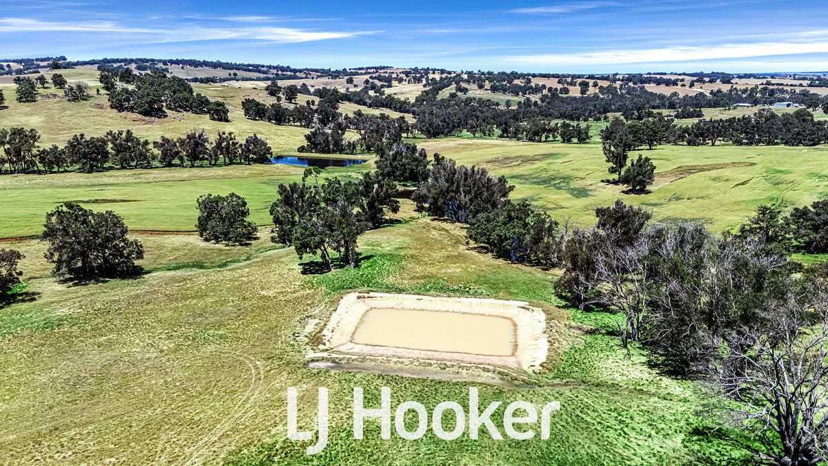 Additional image 11 of 1 on DP 426021 Bridgetown - Boyup Brook Road, Boyup Brook WA 6244